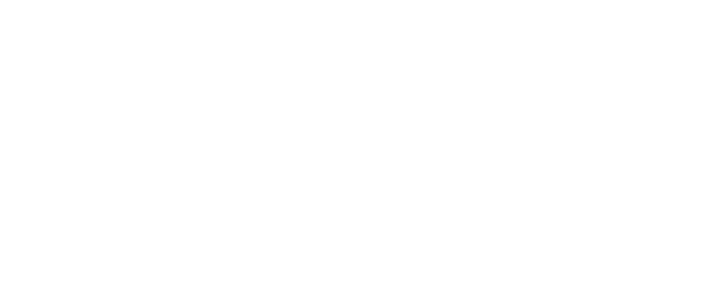 TDX Primarn logo